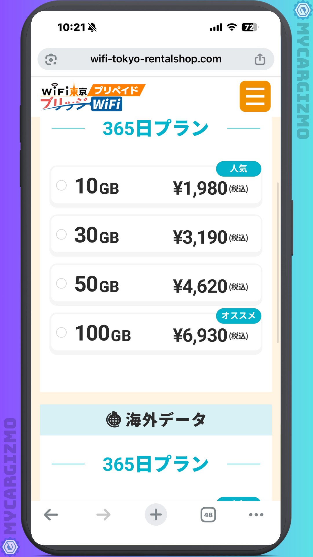 国内365日100GBプラン